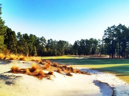 Pinehurst No. 2 Golf Course